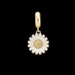 Charming Marguerite
