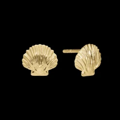 Clam shell