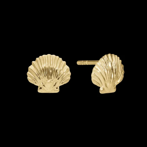 Clam shell