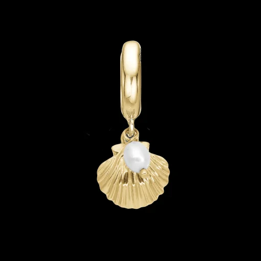 Clam shell