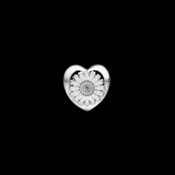 Daisy Flower