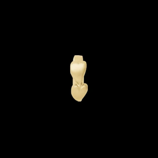 Double Heart goldpl silver