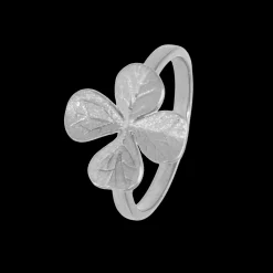 Four Leaf Clover