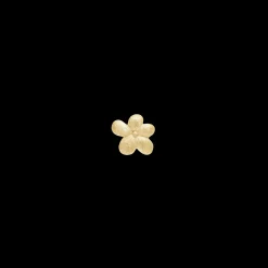 Graceful Flower