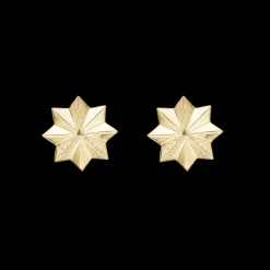 Happy Storm, studs, goldpl silver