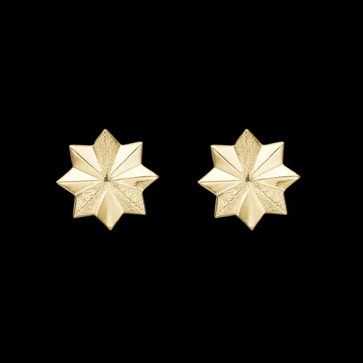 Happy Storm, studs, goldpl silver