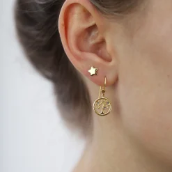 Køb Shiny Star | Fri Fragt | Tidløst Dansk Design