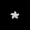 Køb Star Fish | Fri Fragt | Tidløst Dansk Design