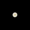 Marguerite