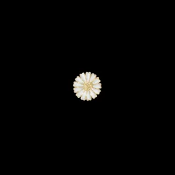 Marguerite