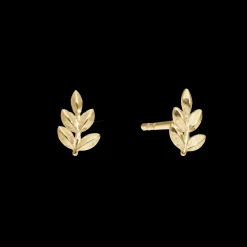 Oak Leaf
