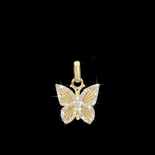 Pretty Butterfly