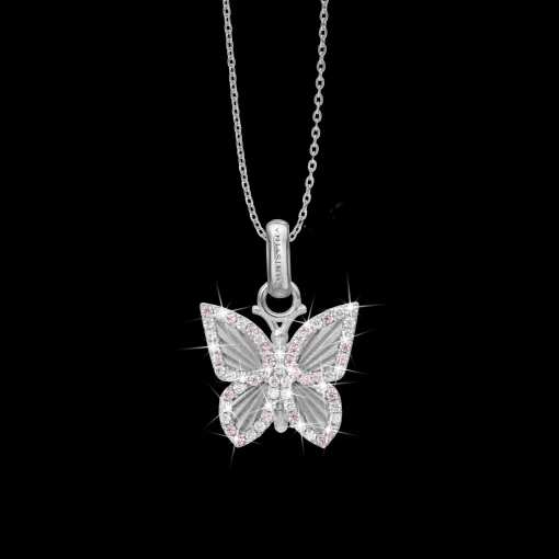 Pretty Butterfly
